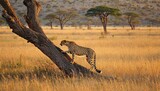 A cheetah gracefully ascends a tree during the golden hour in Serengeti National Park, showcasing its agility in the soft glow of sunset in the African wilderness