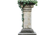 © Bravo PNG - Decorative stone column with ivy on a transparent background