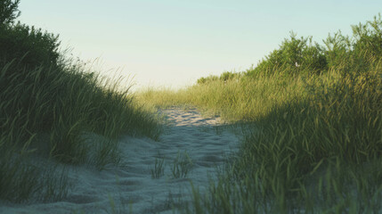 Poster - Serene pathway through lush green dunes at sunset