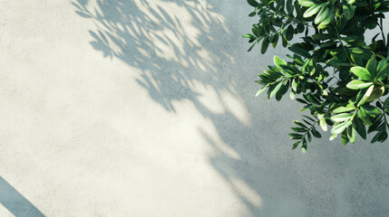 Poster - Minimalist concrete table with leaf shadows – perfect for modern decor design