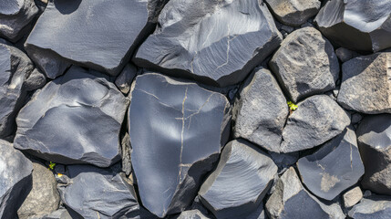 Poster - Elegant lava rock texture for natural background and design