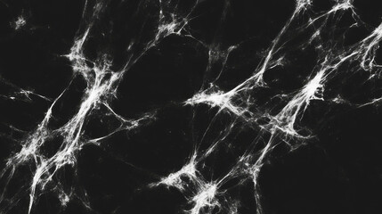 Poster - Abstract chaotic texture of scratches and abrasions on dark surface for design background