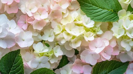 Poster - Colorful watercolor flowers create an abstract spring background of soft petals and lush greenery