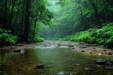 Poster - Lush green forest with a serene stream under a misty atmosphere in a tranquil natural setting