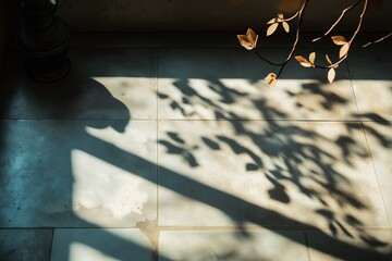 Poster - Sunlight creating shadows of leaves on tiled floor