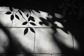 Poster - Shadows of leaves creating abstract patterns on stone wall