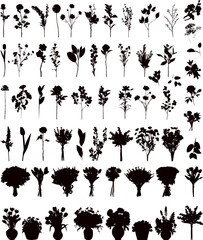 Wall Mural - set of flowers silhouette, vector on white background