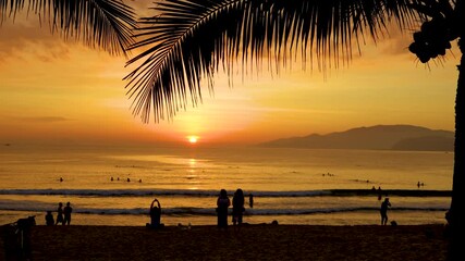 Wall Mural - View early morning light on a public beach with silhouettes of people swimming and coconut tree palms during a beautiful amazing sunrise