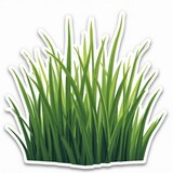 Vibrant Green Sticker of Tall Grass with a Clean Cut Outline
