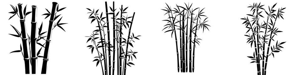 Poster - Black and white bamboo illustrations showcasing different styles and arrangements in nature