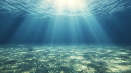 Aufkleber - Underwater scene with sunlight filtering through the surface, illuminating the ocean floor.