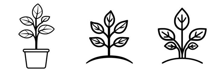 Poster - Simple line art illustrations of plants in pots with distinctive growth shapes and leaf designs