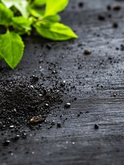Aufkleber - Close up of black soil with fresh green mint leaves highlighting nature and organic elements together : Generative AI