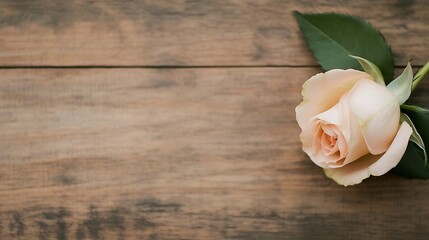 Poster - Beautiful pale pink rose delicately placed on rustic wooden table background : Generative AI