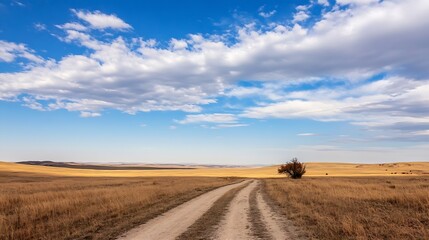 Poster - Wide and sandy dirt road stretching through a vast open landscape under a bright blue sky : Generative AI