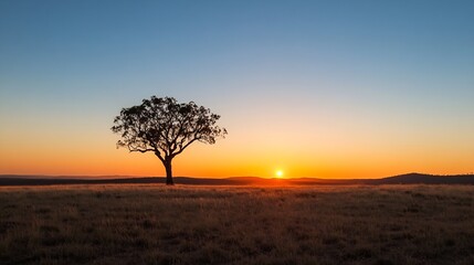 Aufkleber - Stunning Sunset Behind a Solitary Tree in an Open Field Surrounded by Hills : Generative AI