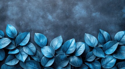 Aufkleber - Blue leaves border on dark background, nature design