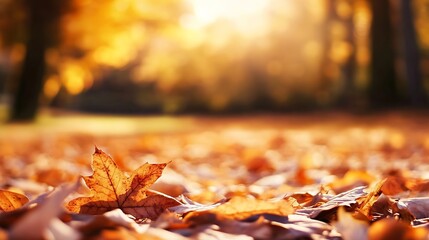 Aufkleber - Autumn leaves scattered across the ground glowing in warm sunlight creating a cozy and inviting atmosphere : Generative AI