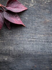 Poster - Vibrant red leaves arranged artistically on a rustic dark wooden background conveying autumn beauty : Generative AI