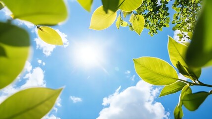 Aufkleber - Vibrant sunlight shining through lush green leaves against a clear blue sky with fluffy clouds : Generative AI