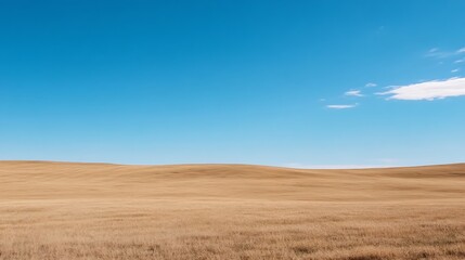 Poster - Expansive Golden Grasslands Under a Clear Bright Blue Sky in Nature's Wilderness : Generative AI