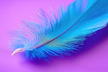 Poster - A close-up view of a single blue feather resting on a bright pink background