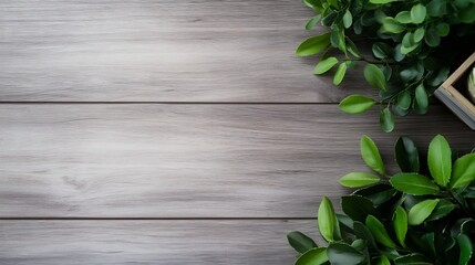 Poster - Lush green leaves elegantly arranged on a wooden surface creating a natural aesthetic : Generative AI