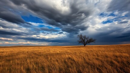 Poster - Solitary Tree in Golden Grassland Under Dramatic Cloudy Sky : Generative AI