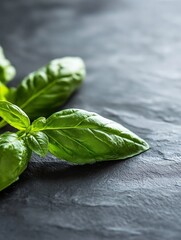 Poster - Vibrant basil leaves highlighted against a dark stone background reflecting freshness and culinary potential : Generative AI