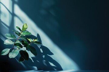 Poster - A single green plant sits on a table