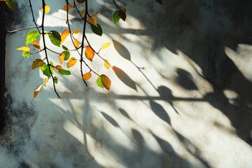 Aufkleber - A tree branch casts a shadow on a white wall
