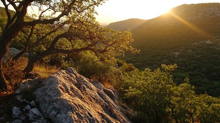Poster - A scenic view of a rocky hillside with an oak tree basking in the golden light of sunset : Generative AI