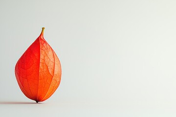 Poster - Orange Physalis Lantern Fruit Elegance on Soft Backdrop Striking Botanical Beauty Isolated Autumnal Charm