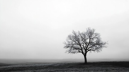 Poster - A solitary tree stands in a foggy landscape emphasizing natural beauty and serenity : Generative AI