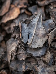 Poster - Close up view of dry brown leaves covering the ground showcasing intricate textures and natural beauty : Generative AI