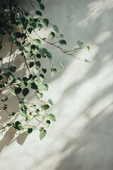 Aufkleber - A succulent plant is growing on a stone wall, with a small pot and some soil visible
