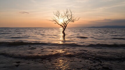 Poster - Stunning Sunset Over Calm Waters with a Lonely Tree Silhouette in Natural Beauty : Generative AI