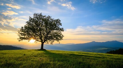 Poster - Solitary Tree Standing Majestically on a Green Hillside at Sunset with a Beautiful Sky : Generative AI