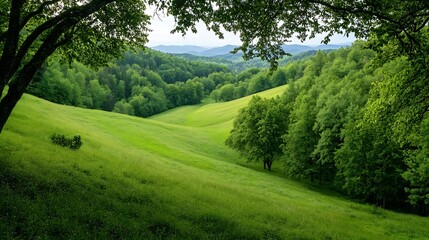 Aufkleber - Lush green valley surrounded by hills under a clear blue sky : Generative AI