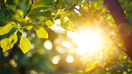 Aufkleber - Sunlight filtering through lush green leaves creating a beautiful natural effect : Generative AI