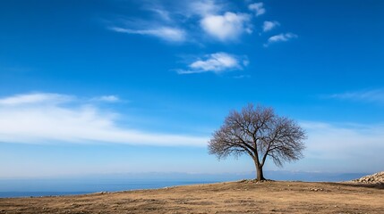 Poster - Barren tree standing alone on a hillside under a bright blue sky during a sunny day : Generative AI