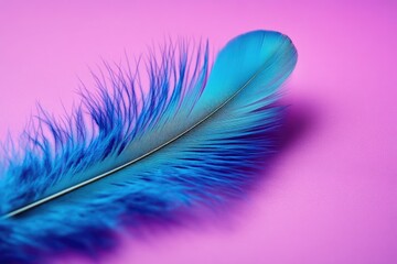 Aufkleber - A single blue feather resting on a bright pink surface