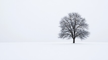 Poster - Lonely tree standing stark against a vast white winter landscape under a grey sky : Generative AI