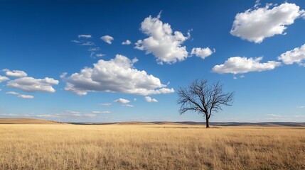 Poster - Isolated single tree standing in a golden dry grass field under a bright blue sky with fluffy clouds : Generative AI