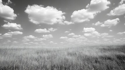 Aufkleber - Serene black and white countryside scene featuring dramatic clouds over a grassy field : Generative AI