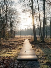Poster - A wooden walkway runs through a dense forest, perfect for hiking and nature photography