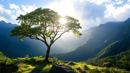 Poster - Single Tree Illuminated by Sunlight Surrounded by Lush Green Valley Landscape : Generative AI