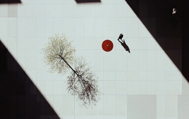 Poster - High-angle view of a person walking in a modern building with strong shadows and sunlight illuminating the floor, near small trees. 