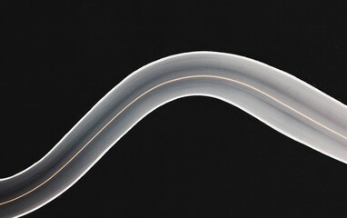 Poster - Microscopic image of a translucent organism with a thin, light-colored central line, curving against a dark background speckled with tiny bright points
