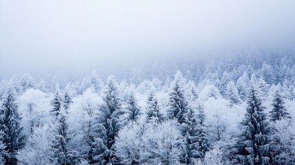 Aufkleber - Stunning Winter Landscape of Snow Covered Trees in a Misty Atmosphere : Generative AI